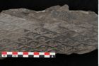 Foto (Detailansicht) von Lepidodendron aculeatum St. (NHMW-GEO-2024-0188-11021)